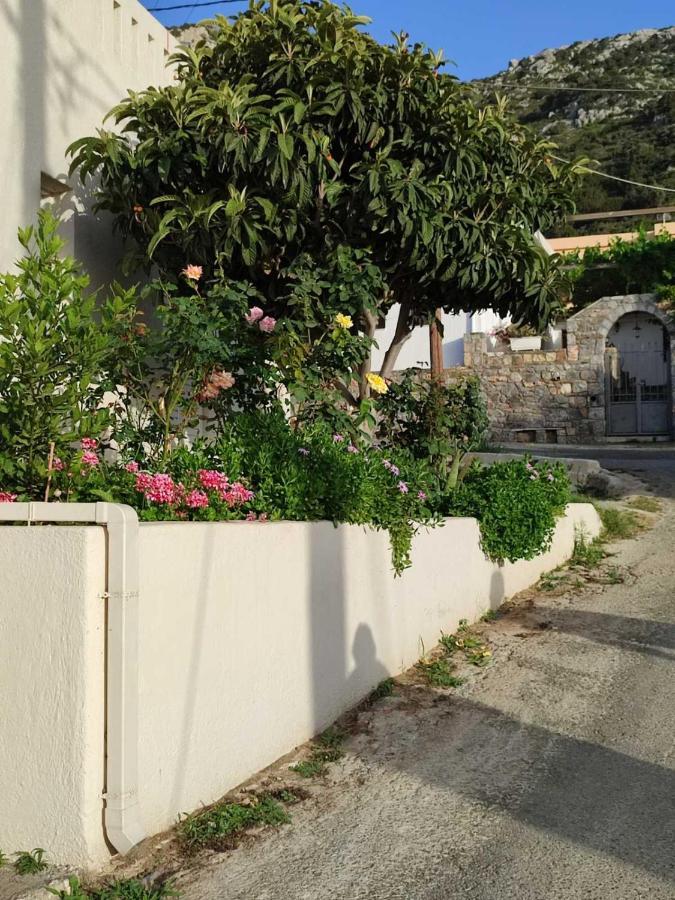 Kassandra Garden Residence Istron Eksteriør bilde